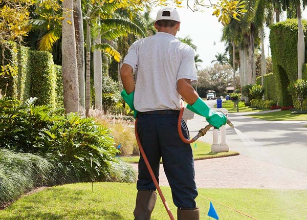 About Annandale VA Pest Control Pros